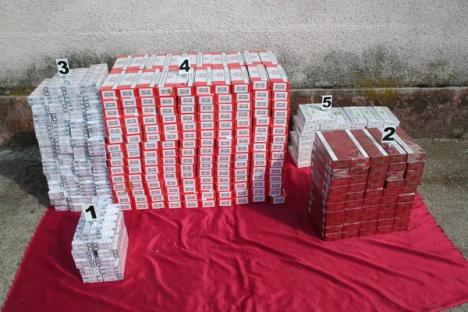 Peste 2.000 de pachete de ţigări ridicate şi patru persoane "săltate", în urma unor percheziţii în Bihor (VIDEO)